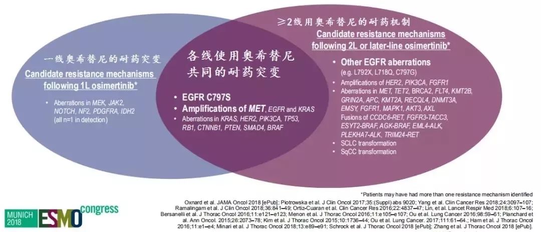全民喜欢，2025新奥最新资料大全精选解析与落实策略,2025新奥最新资料大全精选解析、落实与策略 全民喜欢