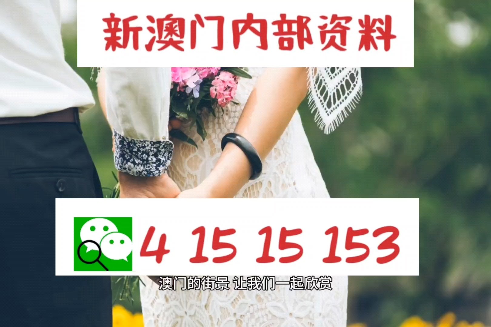 探索幸运之门，新澳精准资料免费提供网站与静态版7.983秘籍揭秘,新澳精准资料免费提供网站,探索幸运的精准秘籍_静态版7.983