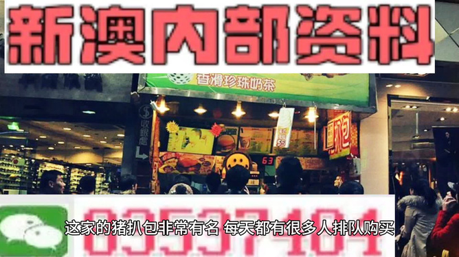 揭秘新澳精准资料免费提供网站及获取最佳精准资料的途径,新澳精准资料免费提供网站有哪些,揭秘获取精准资料的最佳